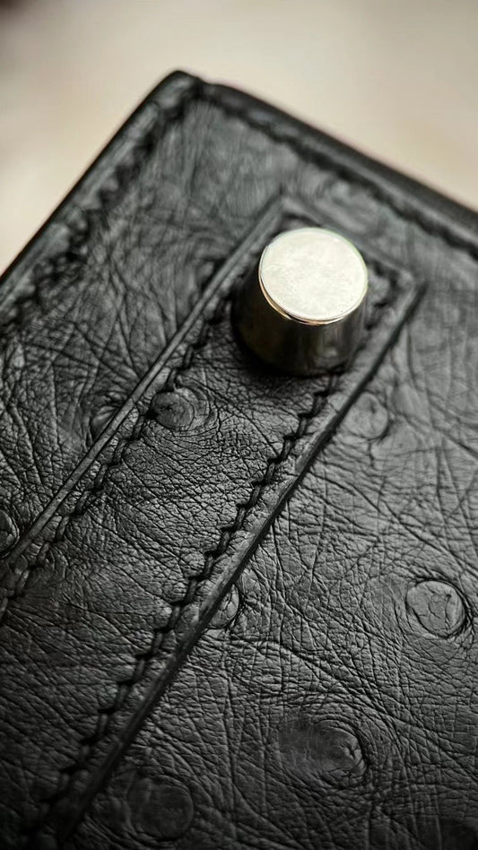 Birkin 25 Ostrich skin Black