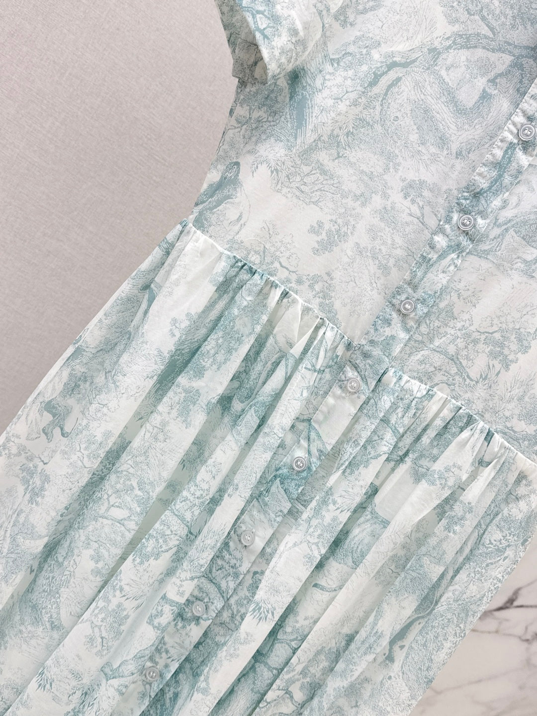 CD 25SS print dress