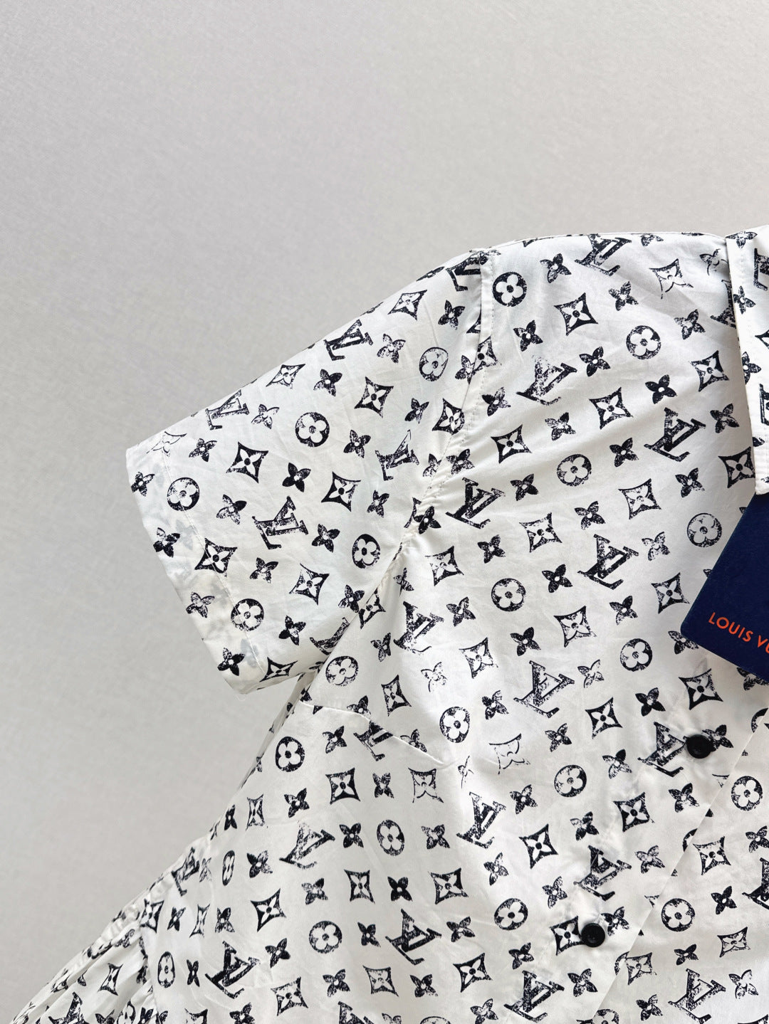 Louis 25fw print dress