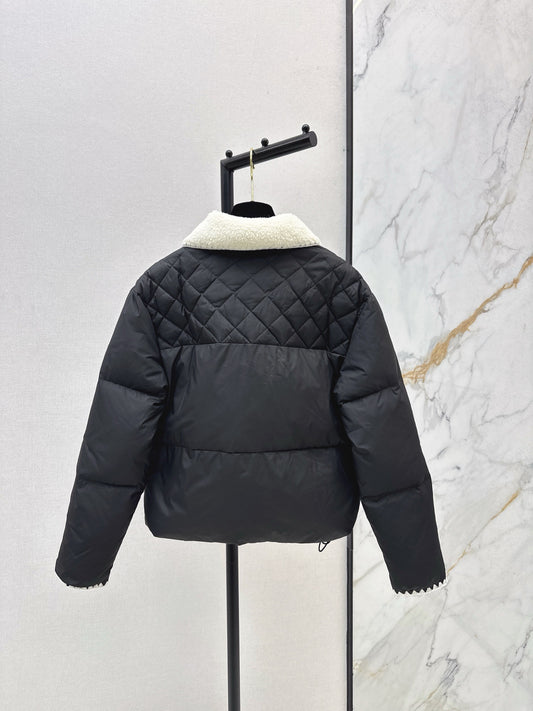 Chan 25fw down jacket