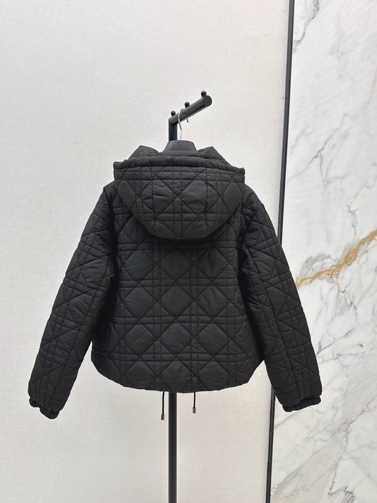 CD 25fw down jacket