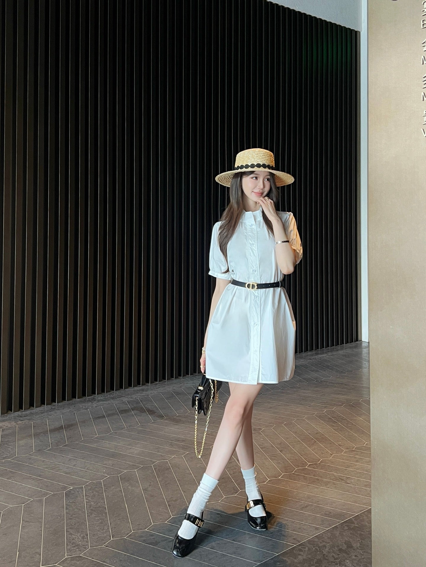 CD 25ss shirt dress