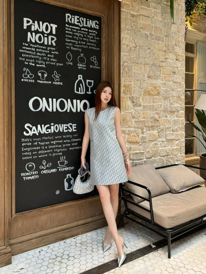 CD 25ss monogram dress