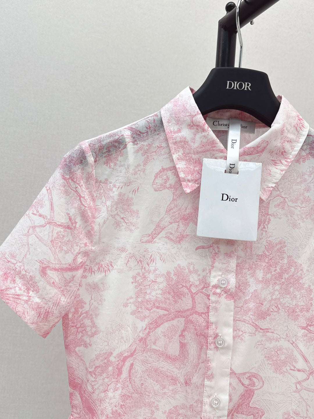 CD 25SS print dress