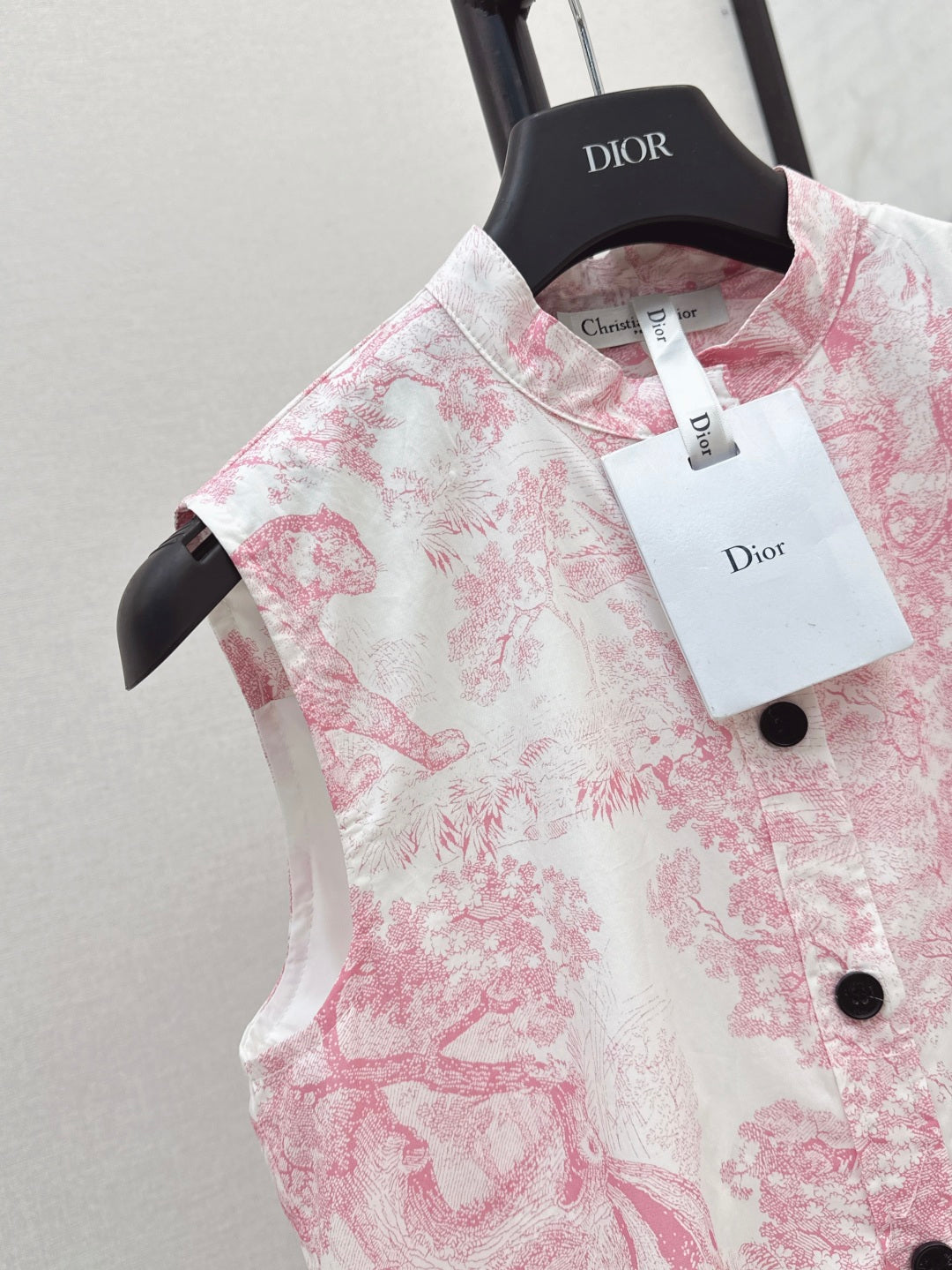 CD 25SS print dress