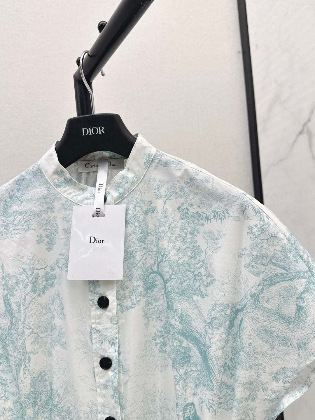 CD 25SS print dress