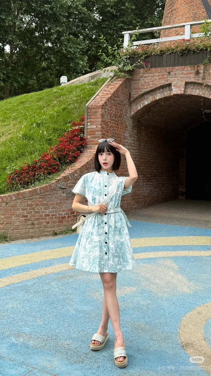 CD 25SS print dress