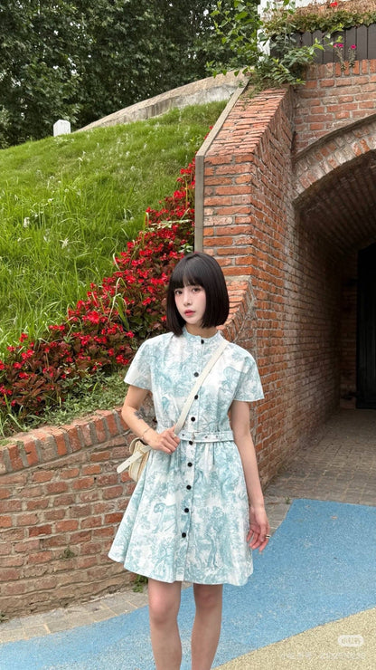 CD 25SS print dress