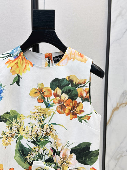 Dolce 25ss print dress