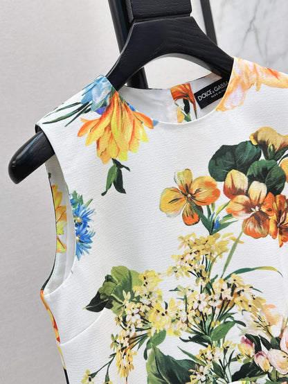 Dolce 25ss print dress
