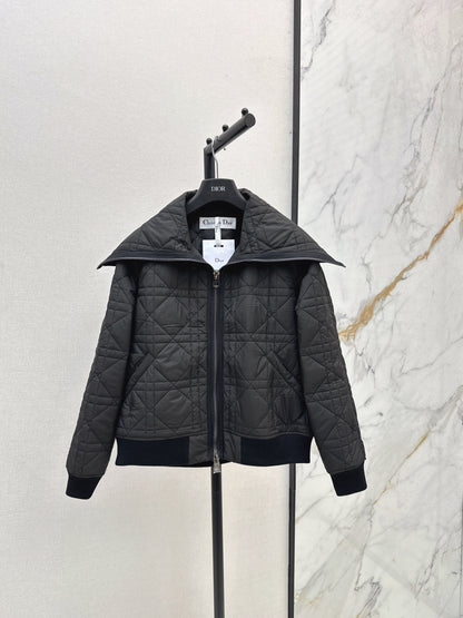 CD 25fw padded jacket