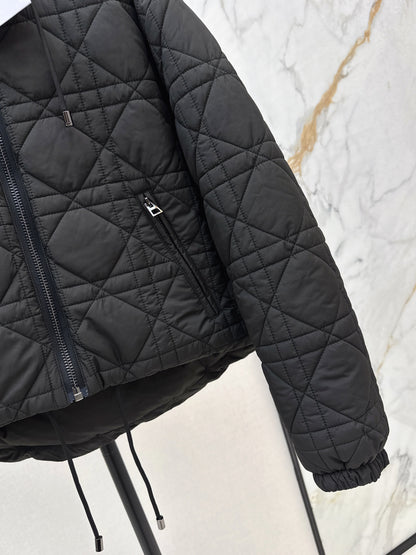 CD 25fw down jacket