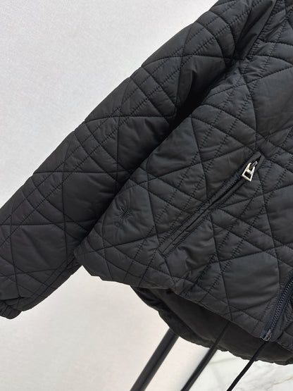 CD 25fw down jacket