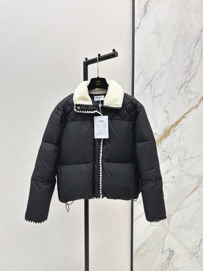 Chan 25fw down jacket