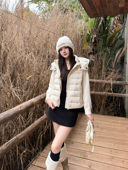 Brun 25fw down jacket