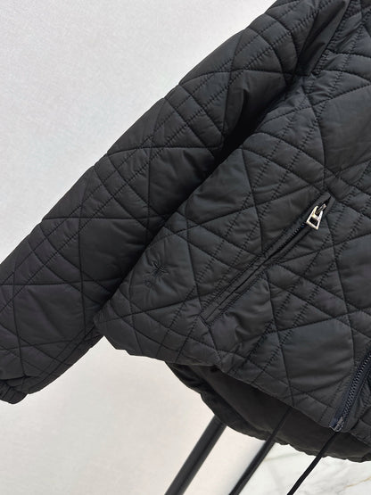 CD 25fw down jacket