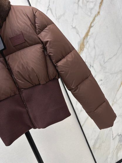 Fend 25fw down jacket