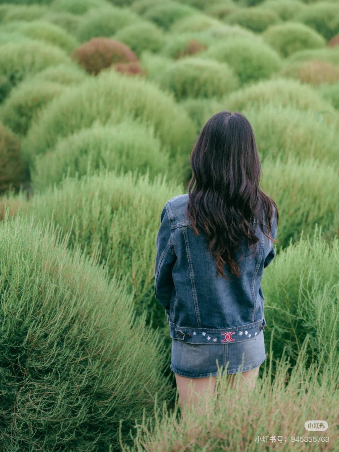 Celi 25fw embroidery denim jacket