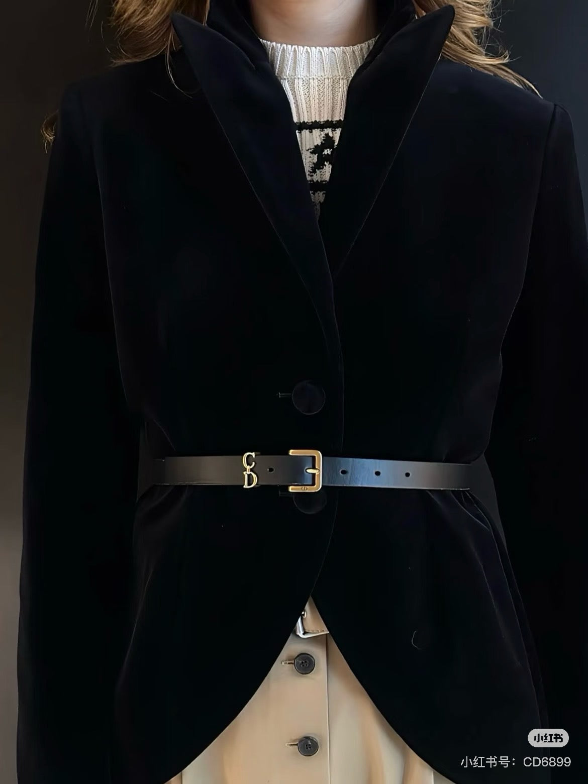 CD 25fw velvet blazer