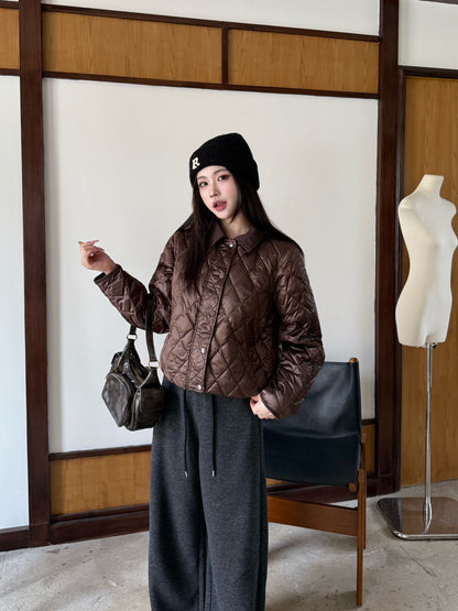 Brun 25fw down jacket