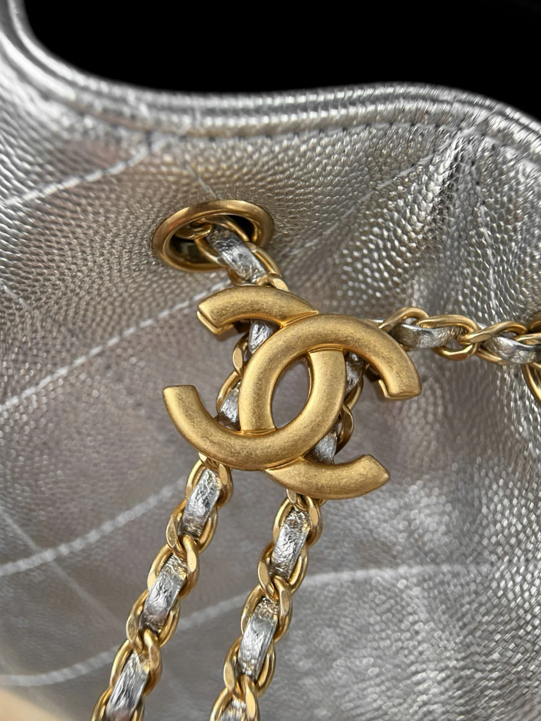 Chan 25S hobo bags