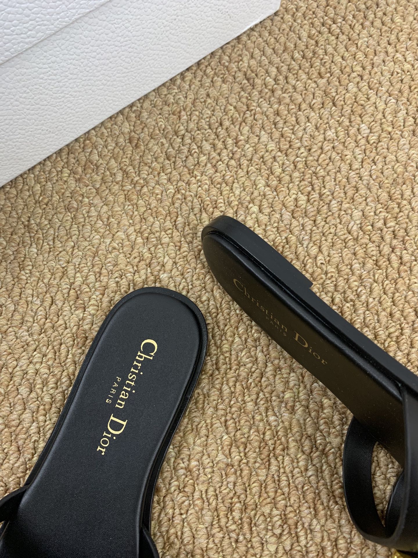 CD 26ss slides
