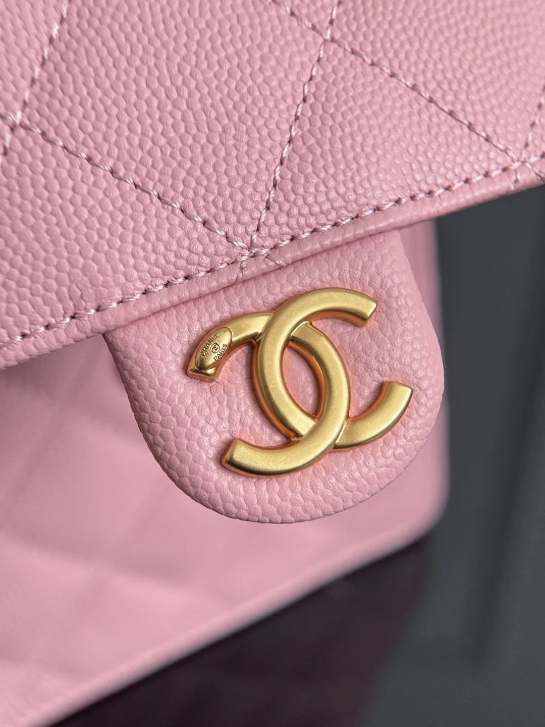 Chan 25A 25bag hobo bags