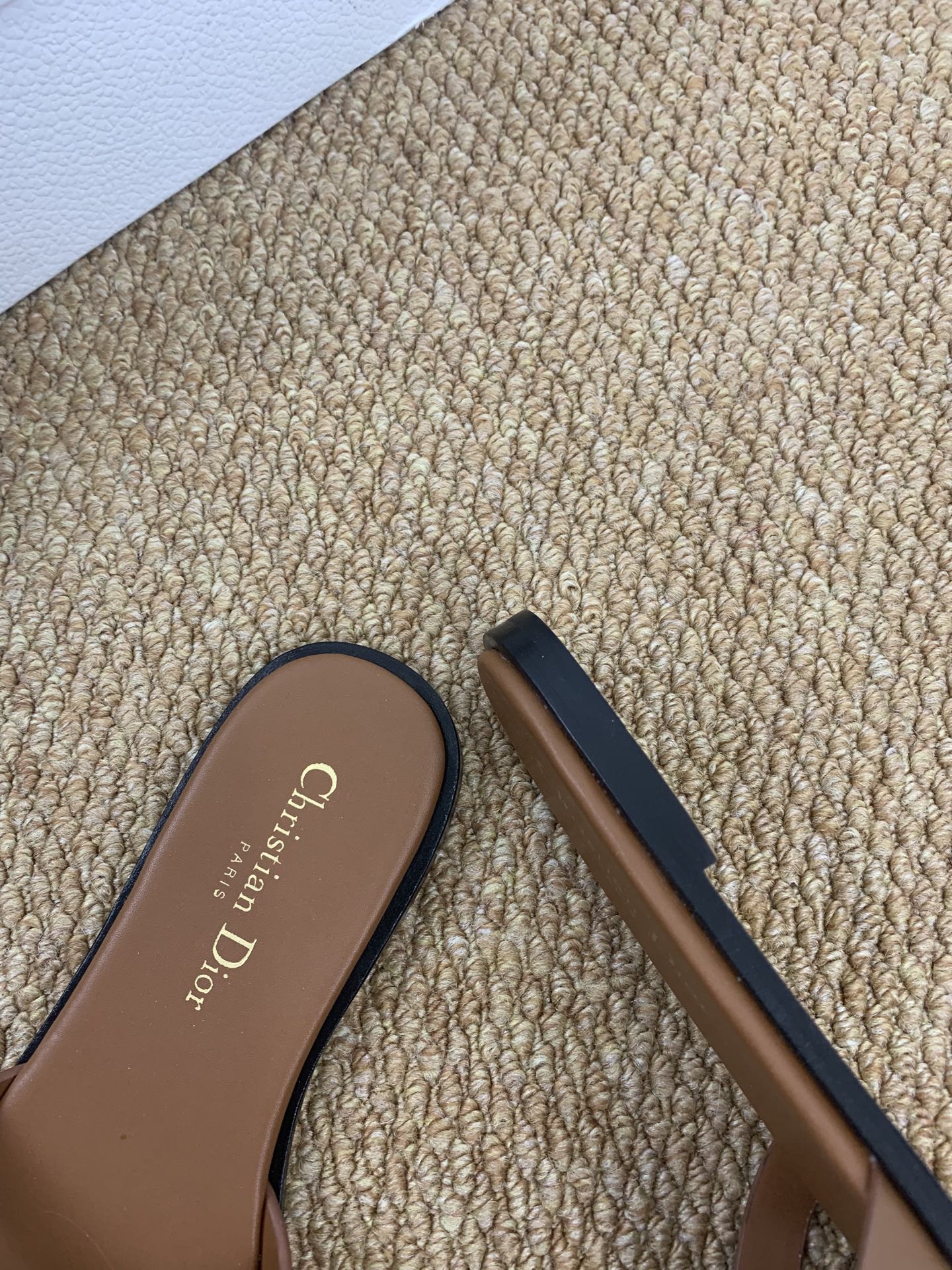 CD 26ss slides
