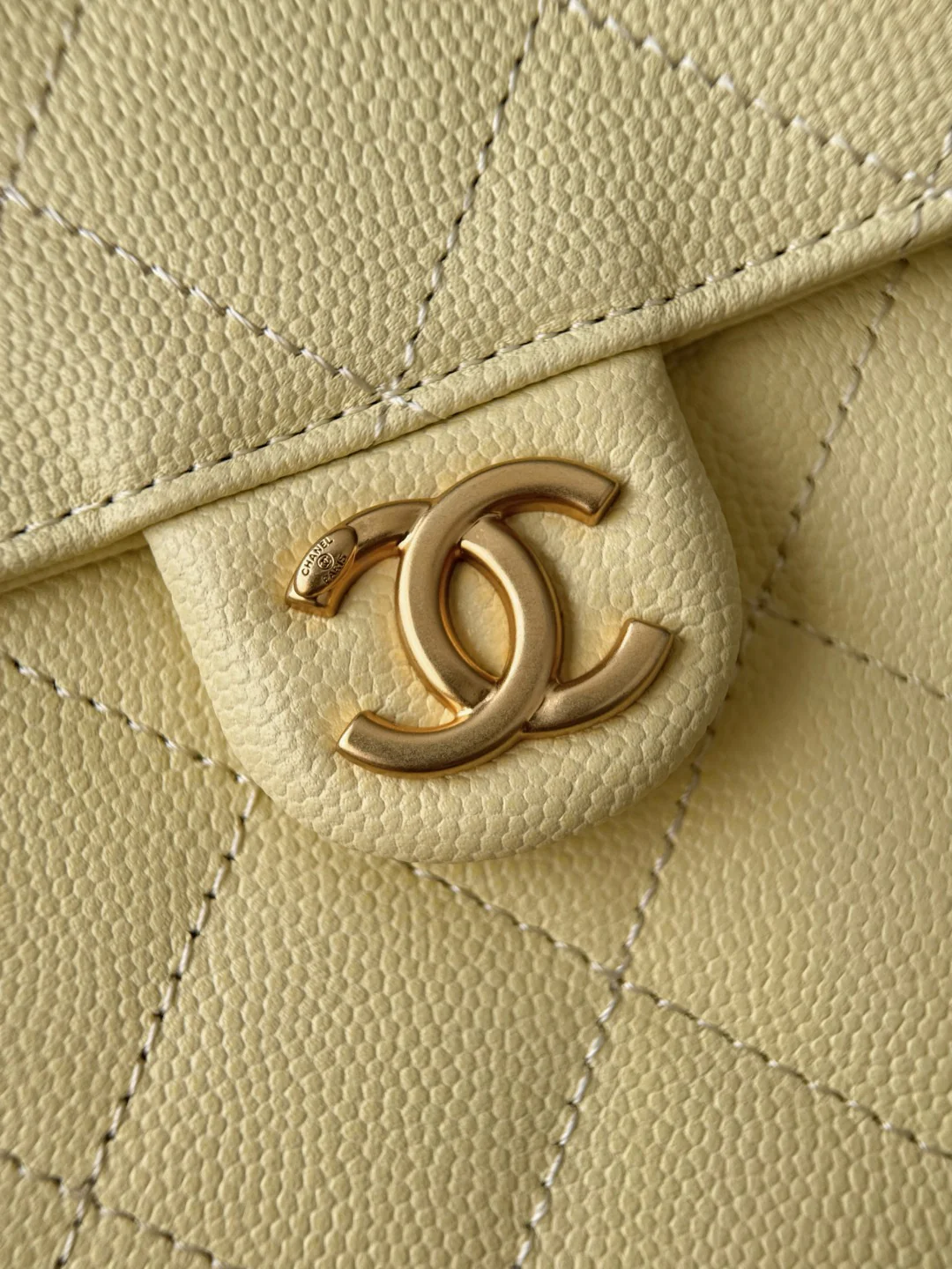 Chan 25S hobo bags