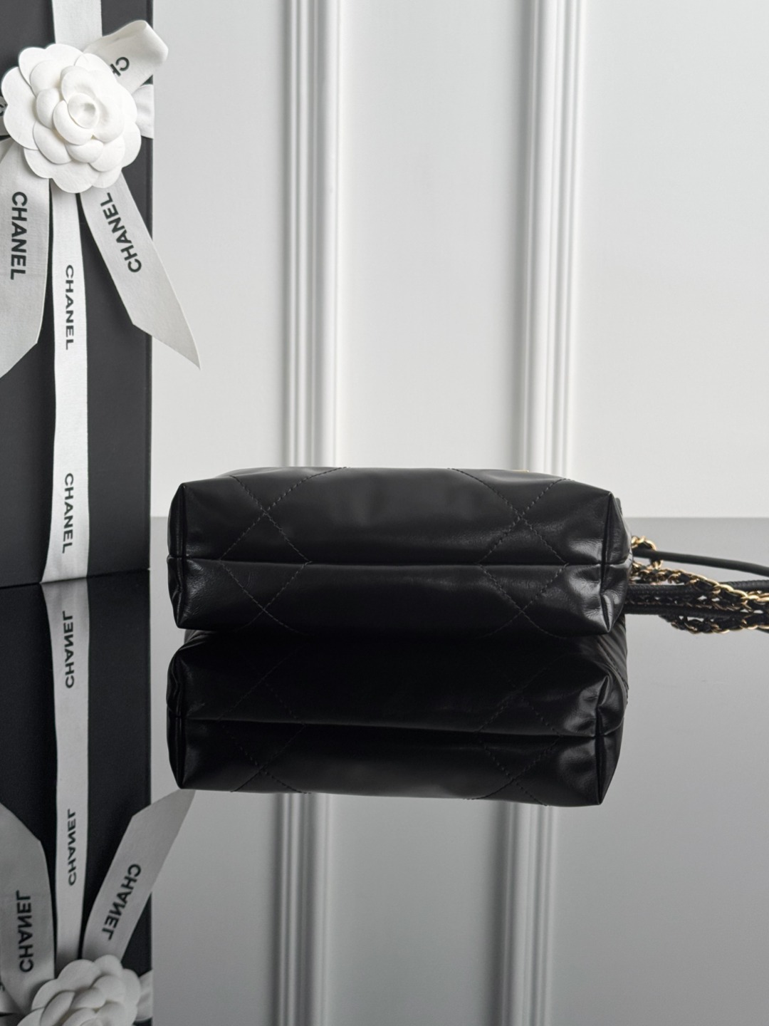 Chan mini 22bag