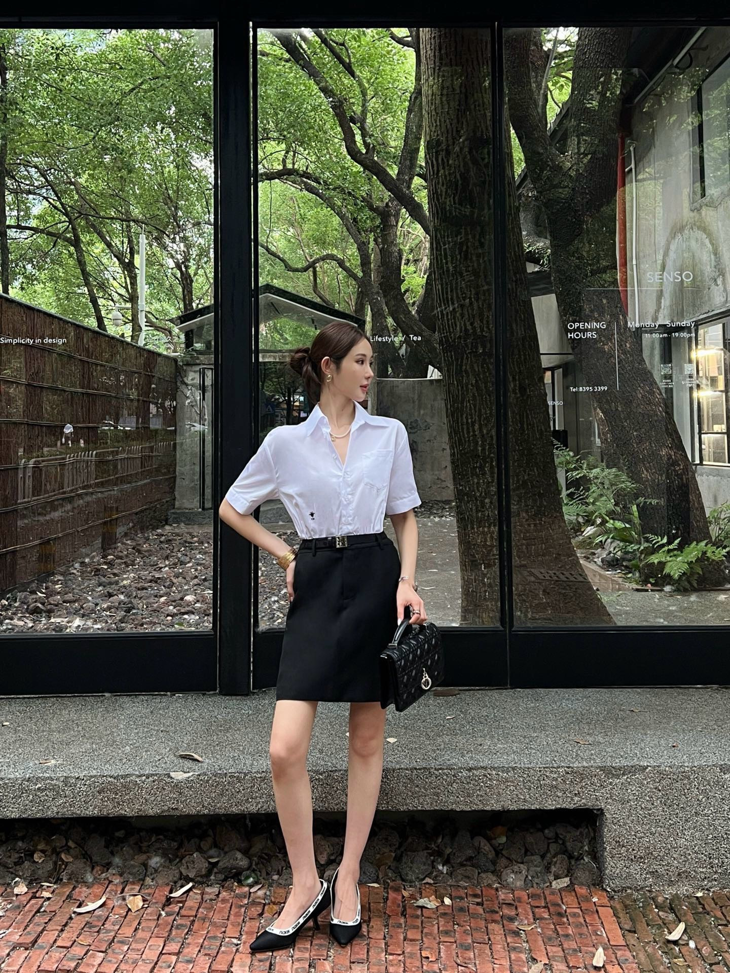 CD 26ss shirt dress