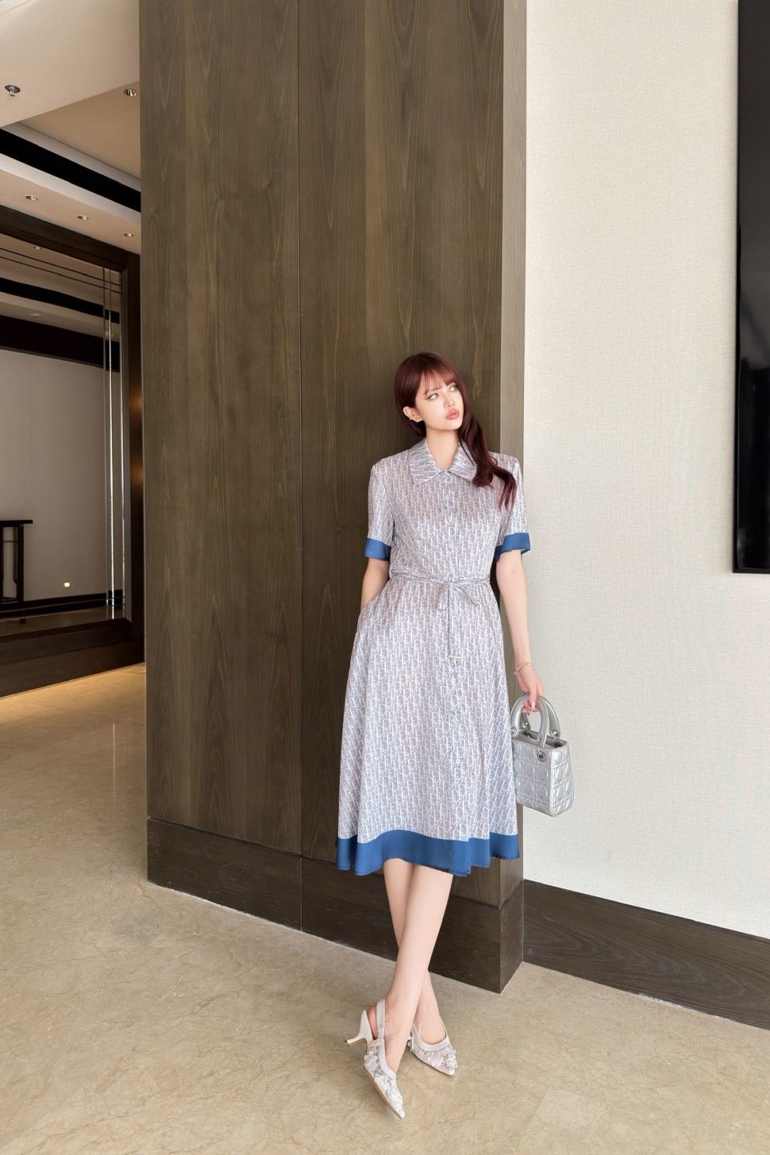 CD 26ss belted shirt dress
