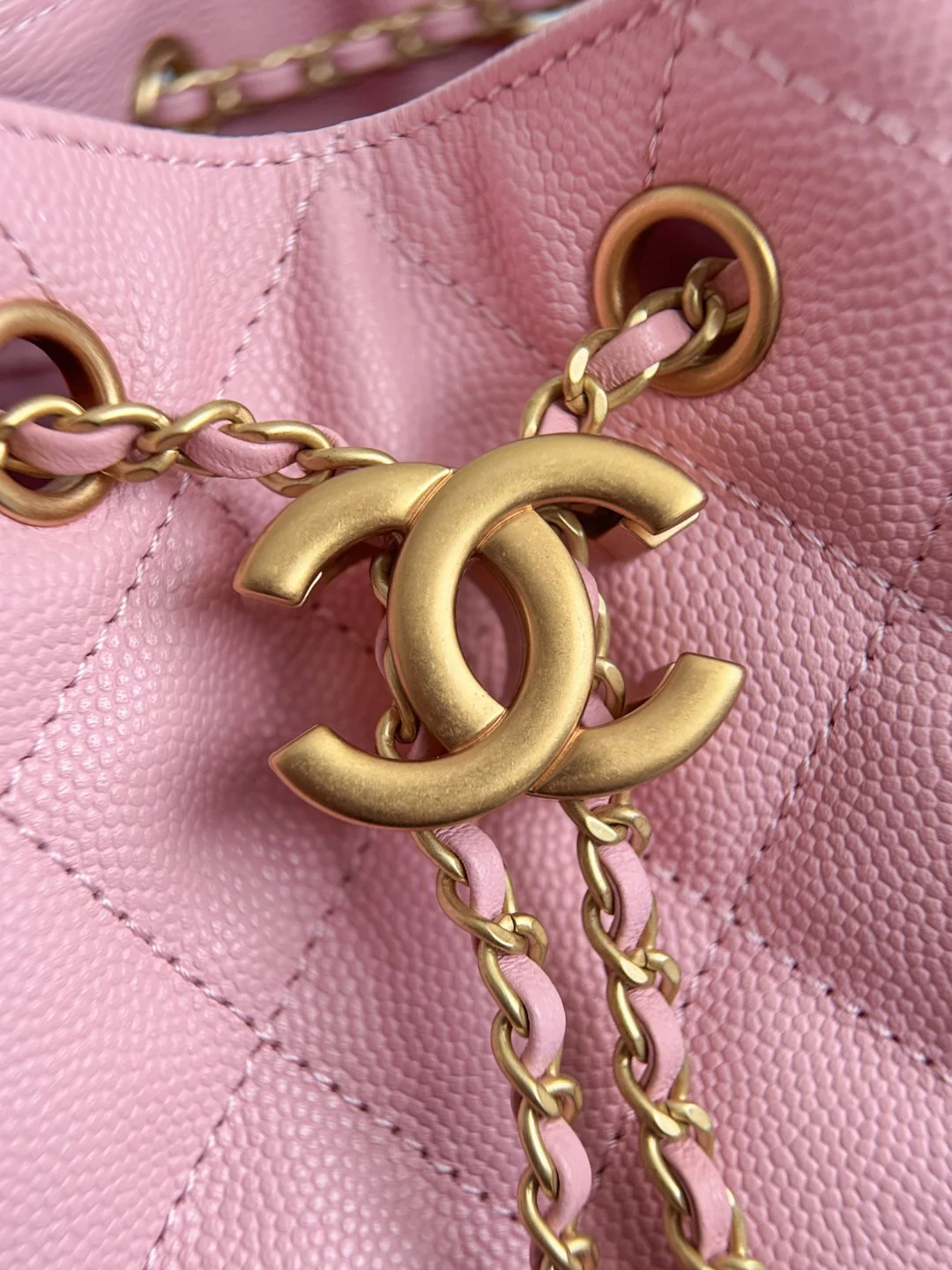 Chan 25A 25bag hobo bags