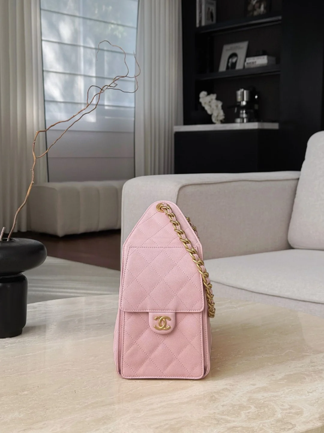 Chan 25S hobo bags