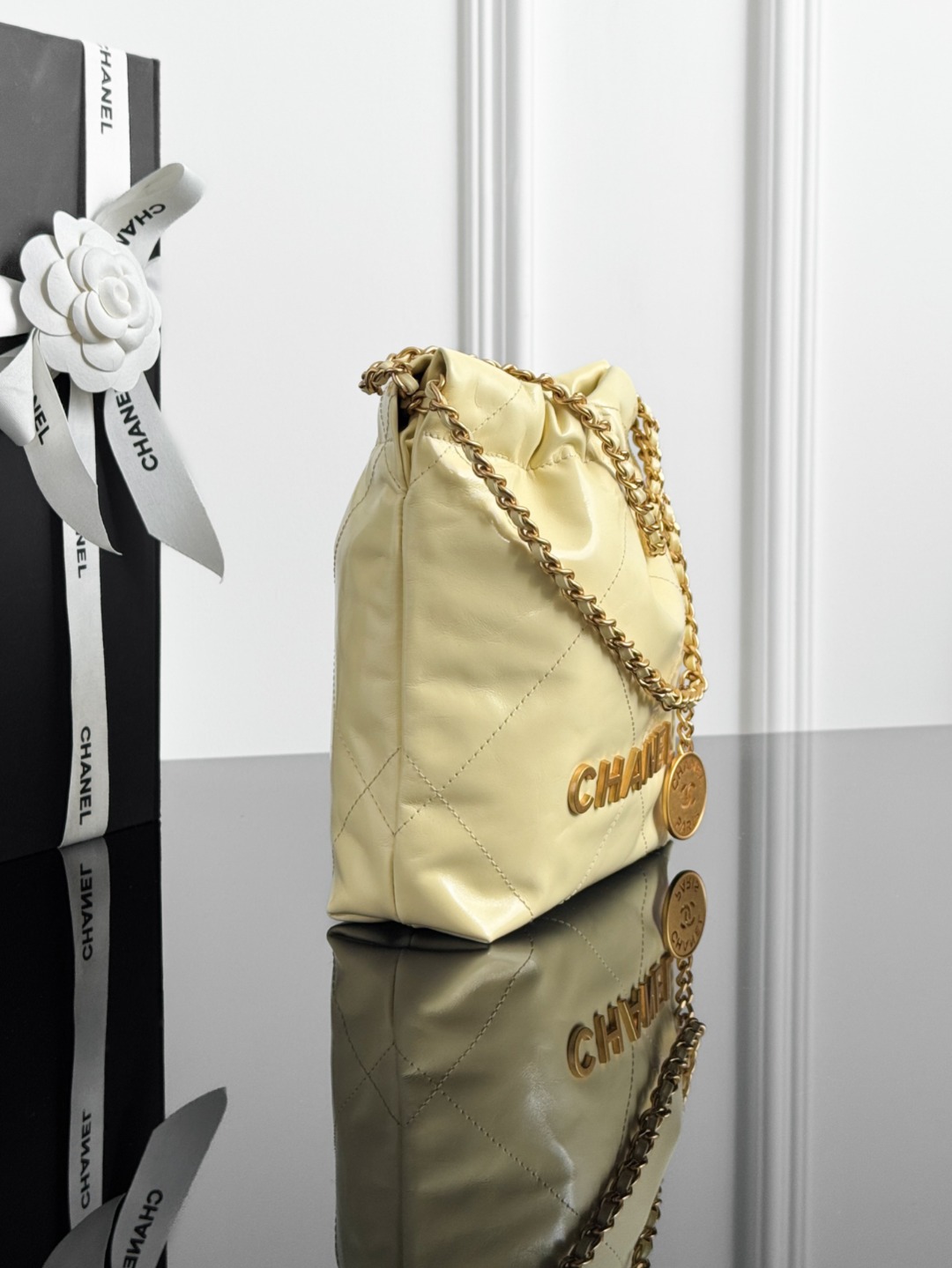 Chan mini 22bag