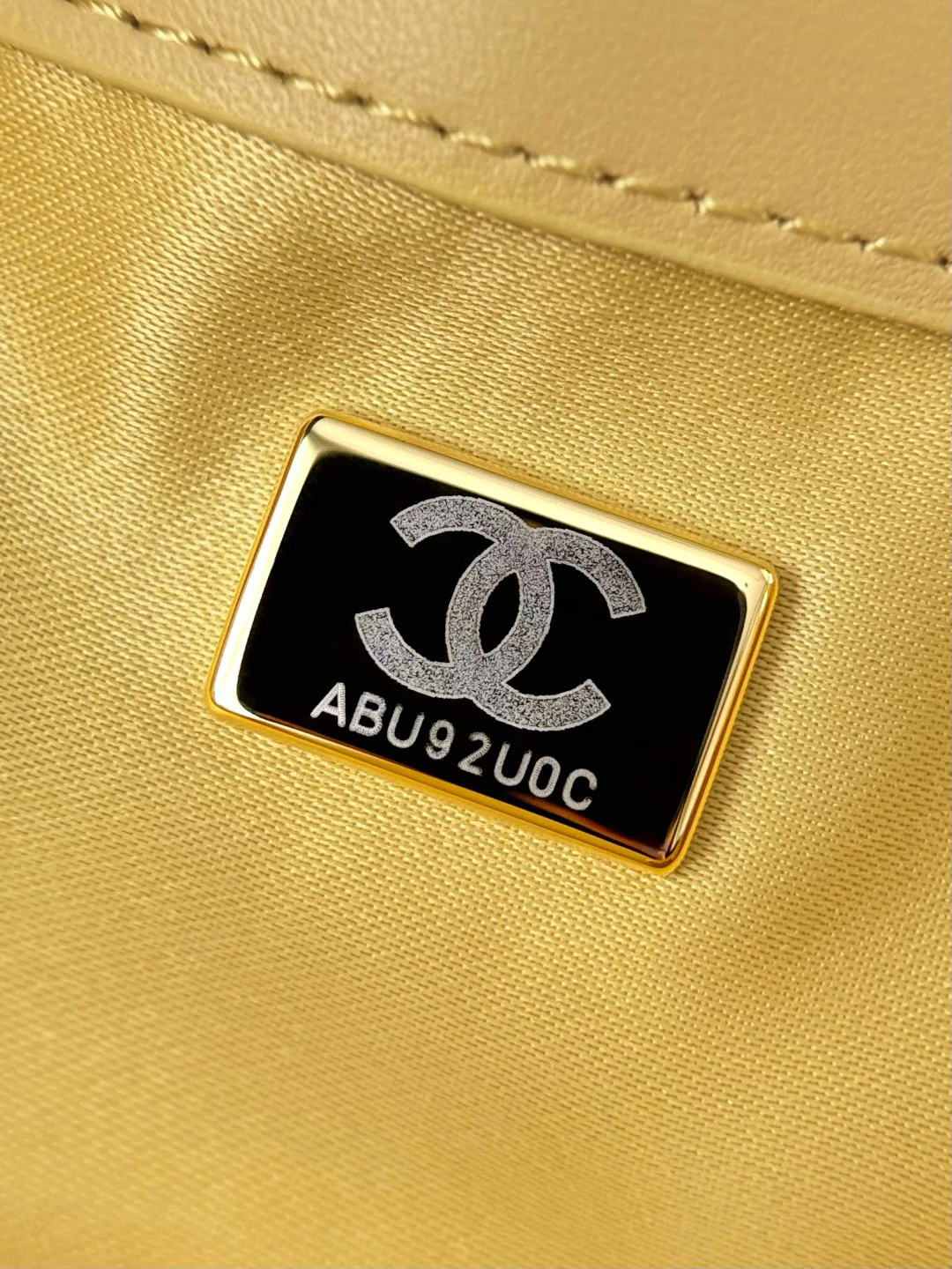 Chan 26C hobo bags