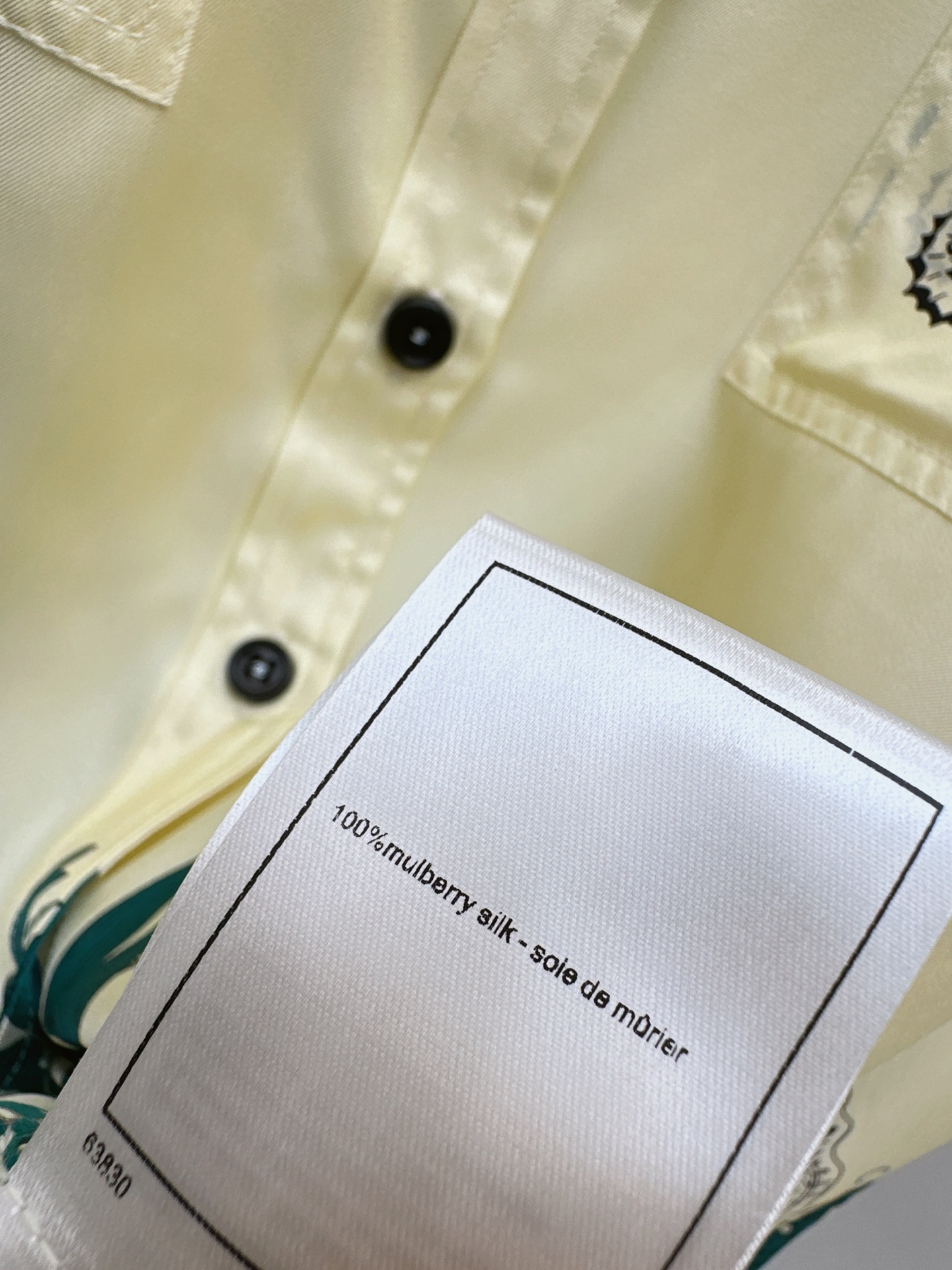Chan 26ss print silk shirt