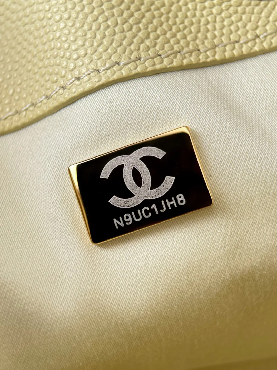 Chan 25S hobo bags