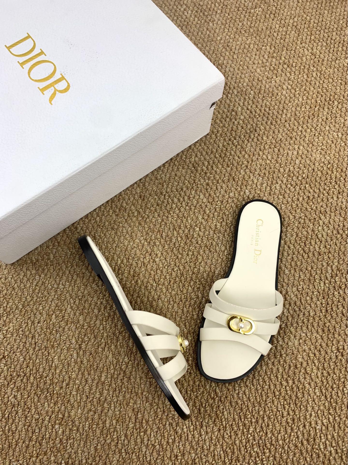 CD 26ss slides