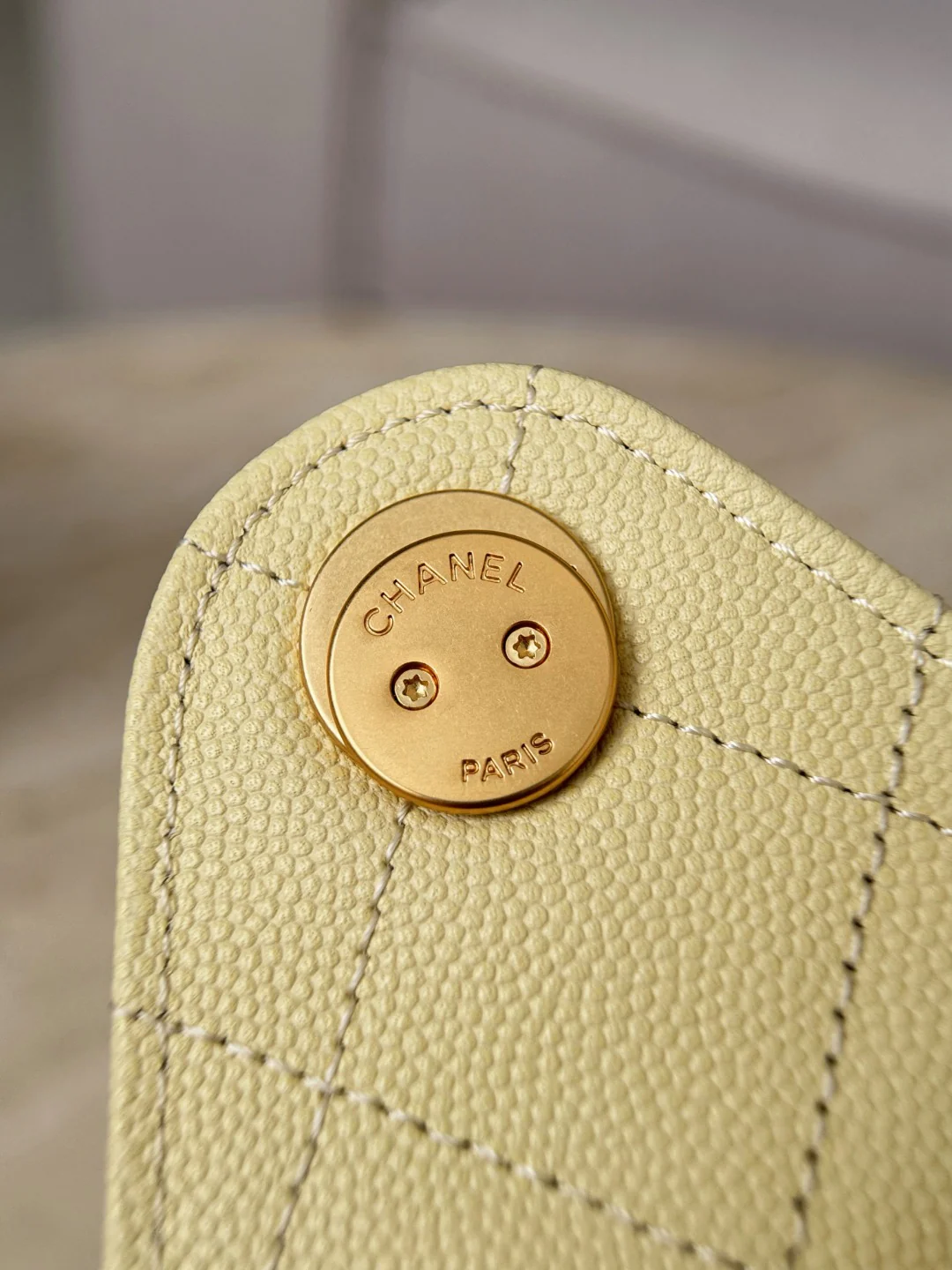 Chan 25S hobo bags
