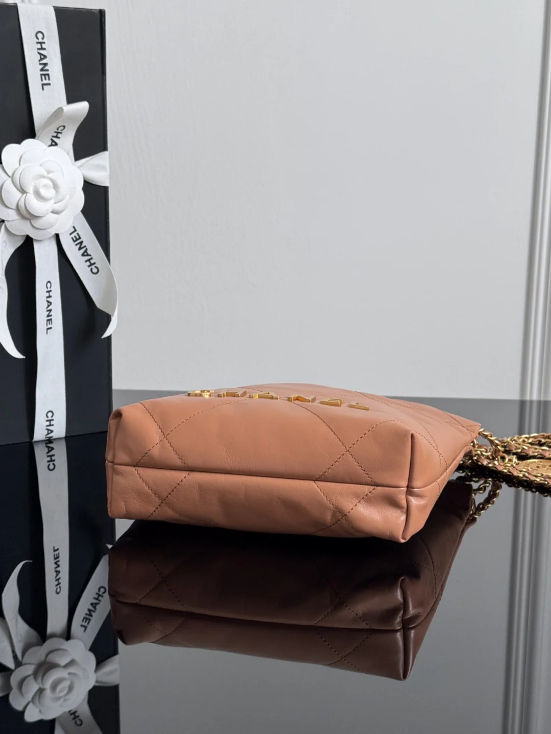 Chan mini  22 bag bucket bag