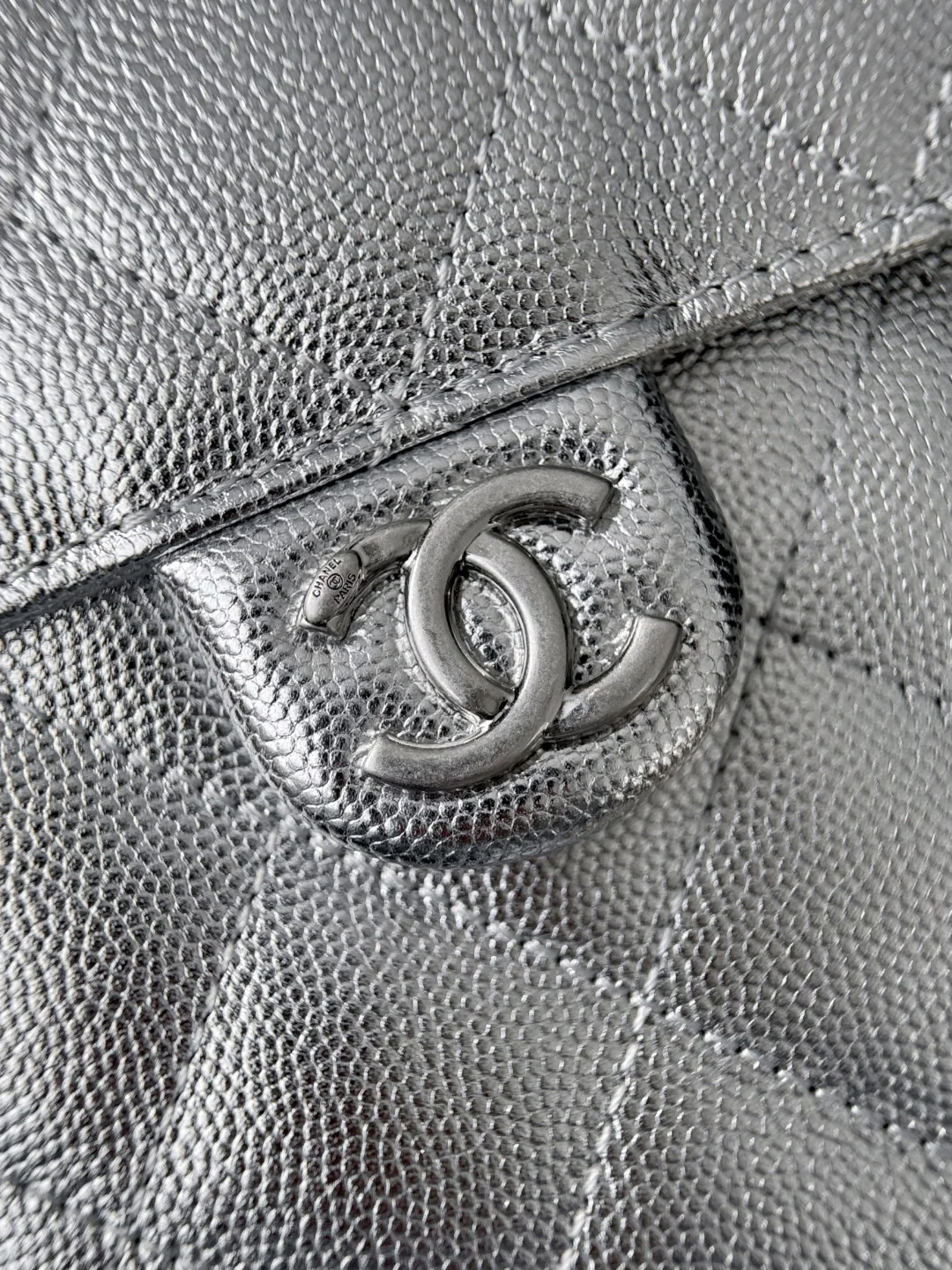Chan 26C hobo bags