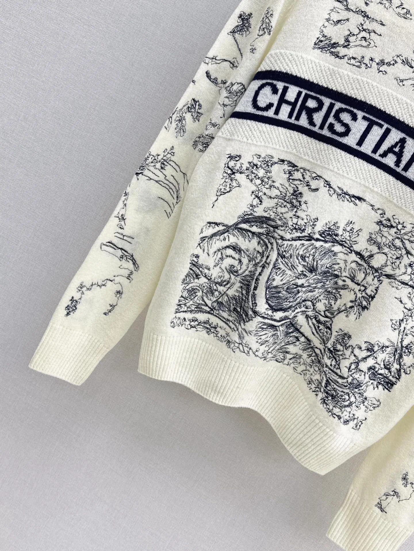 CD 26ss embroidery sweater