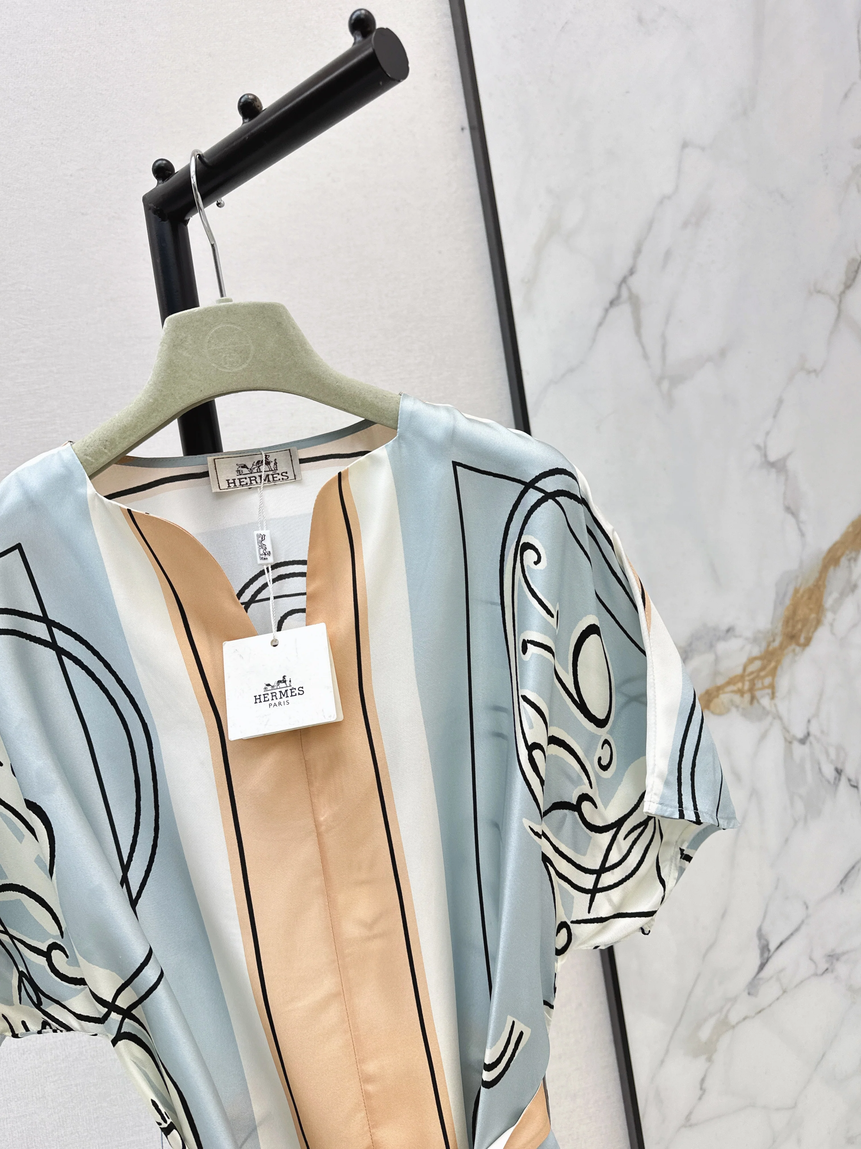 Herm 26ss print silk dress