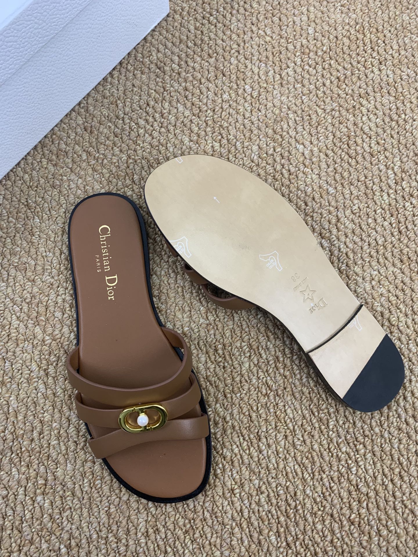 CD 26ss slides