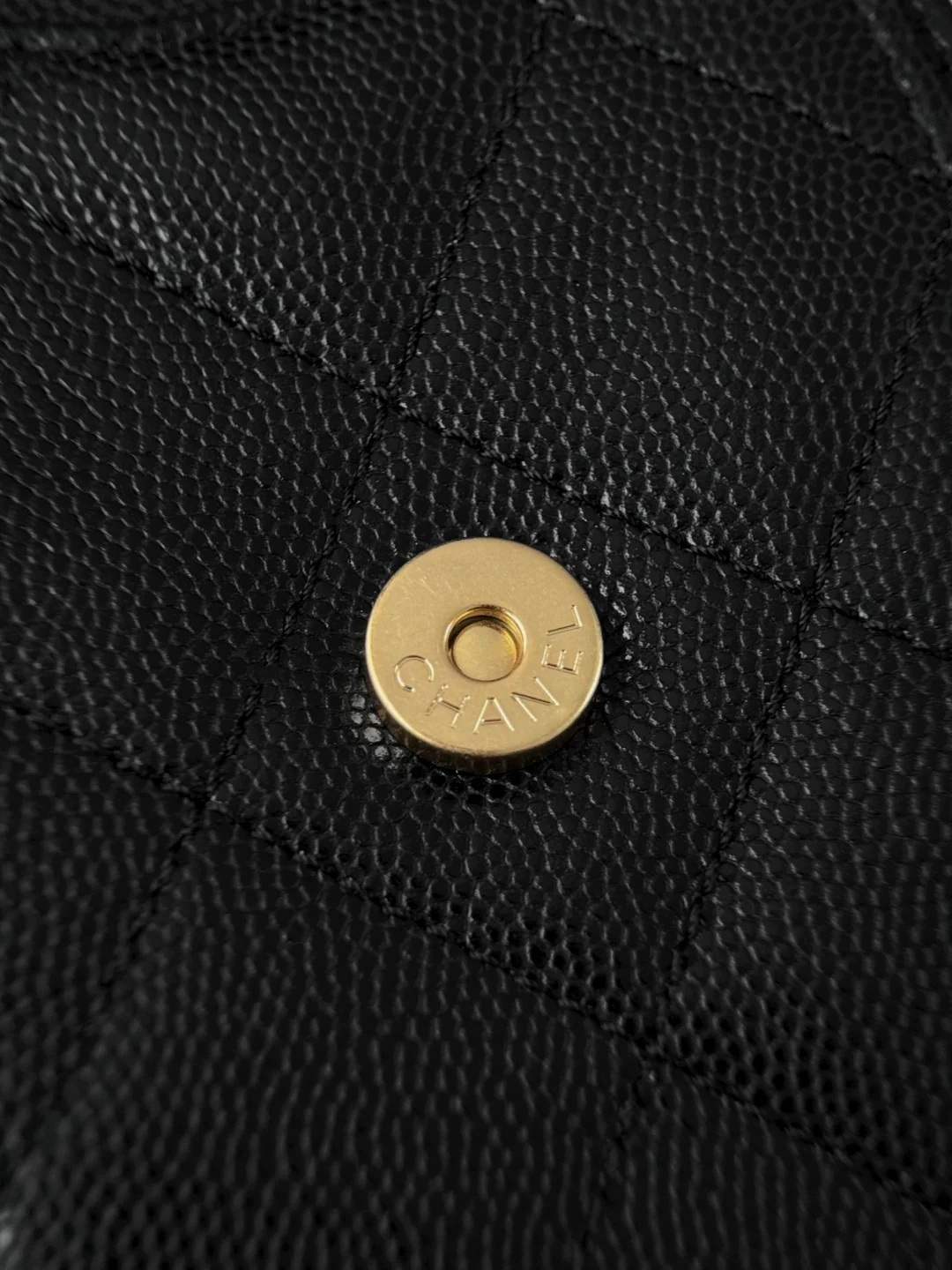 Chan 26C hobo bags