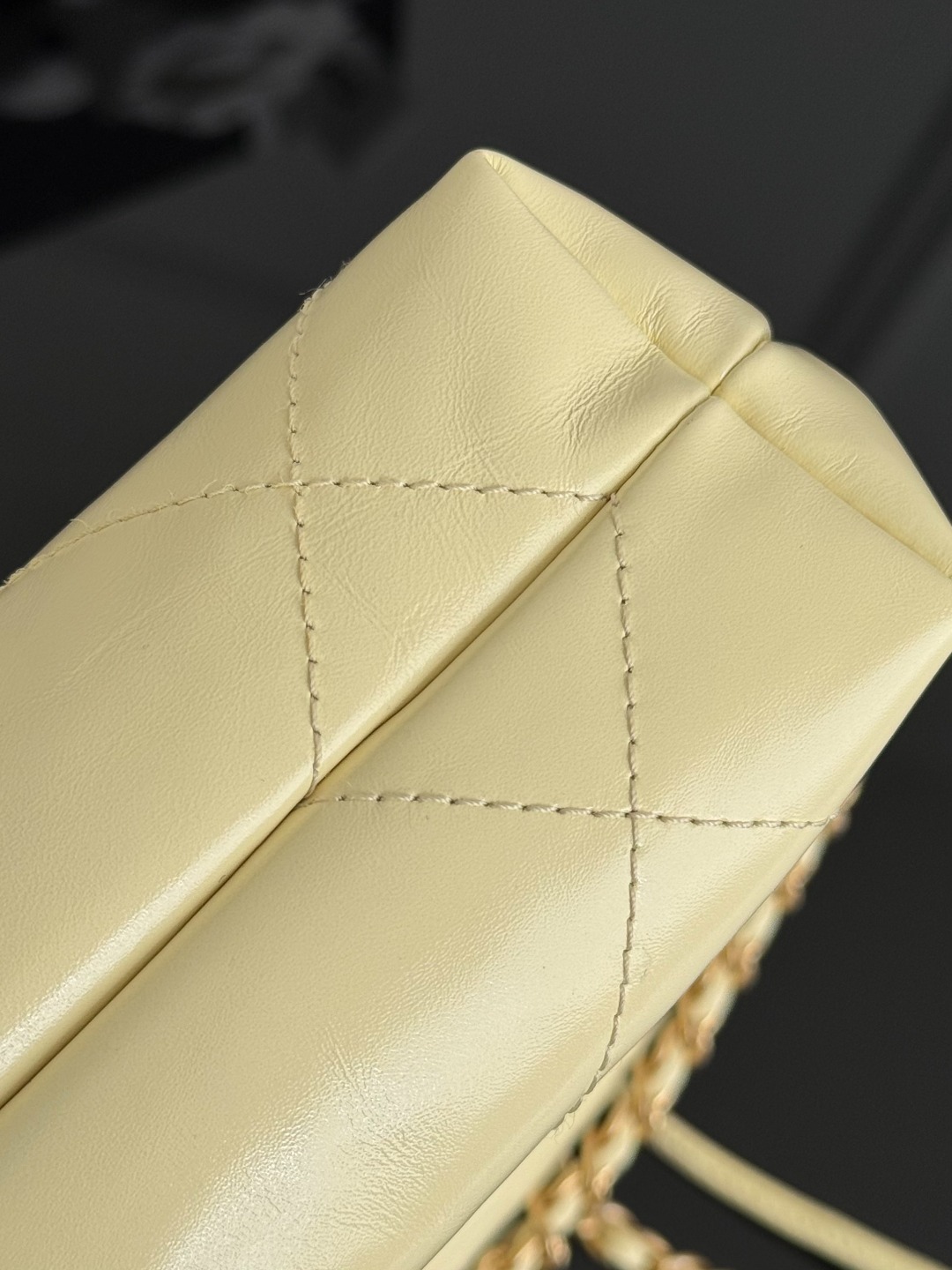 Chan mini 22bag