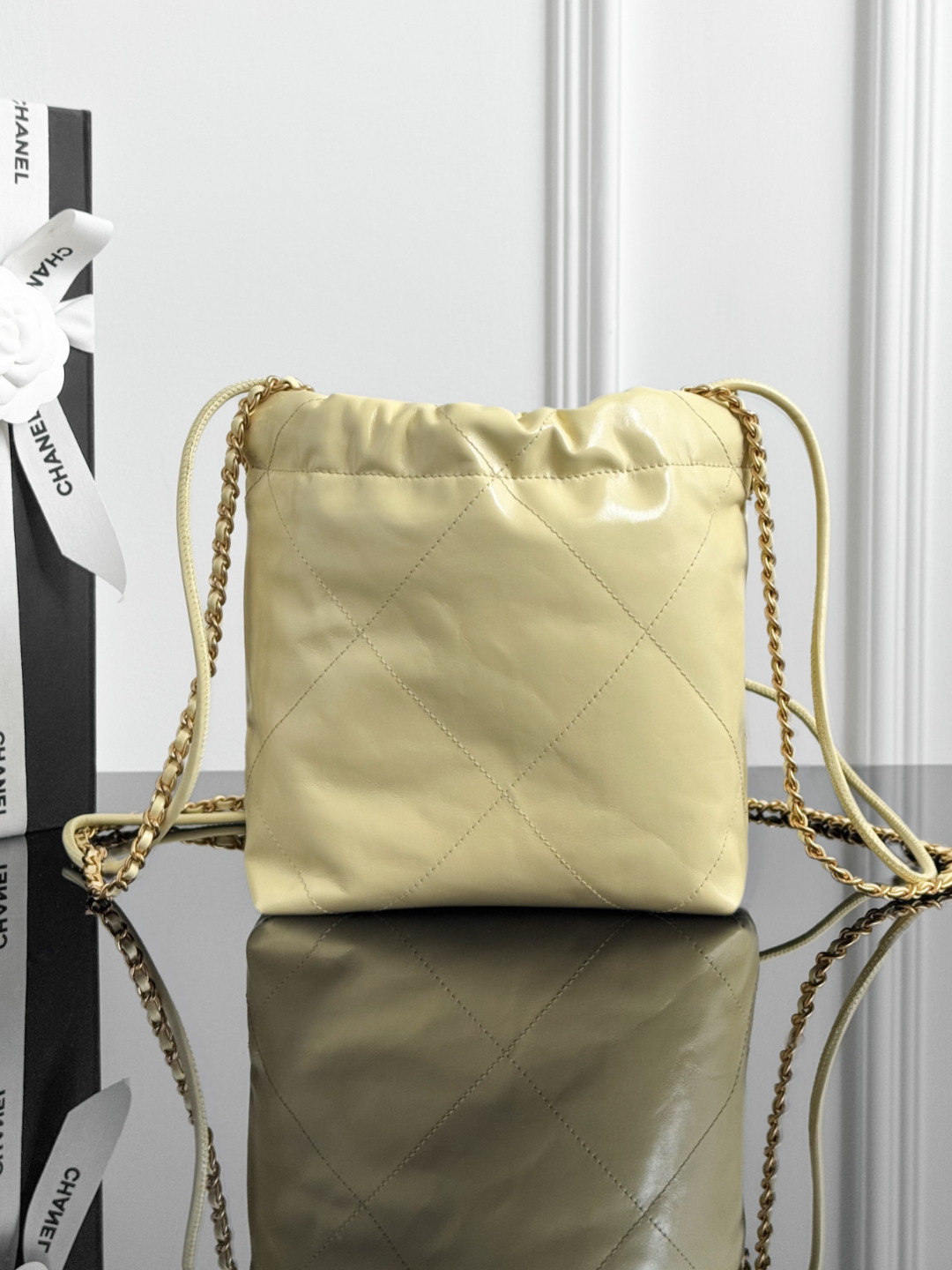 Chan mini 22bag
