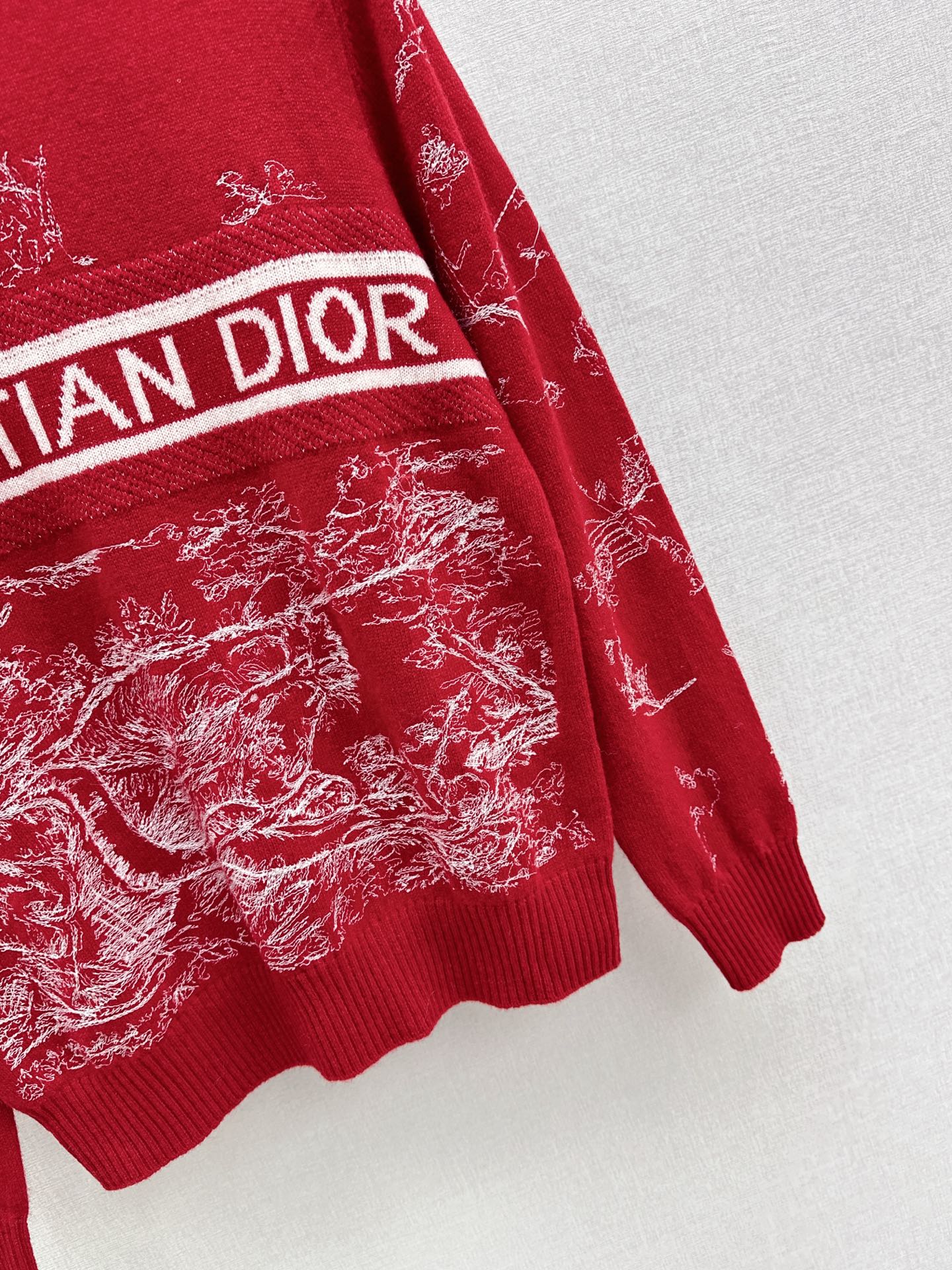 CD 26ss embroidery sweater