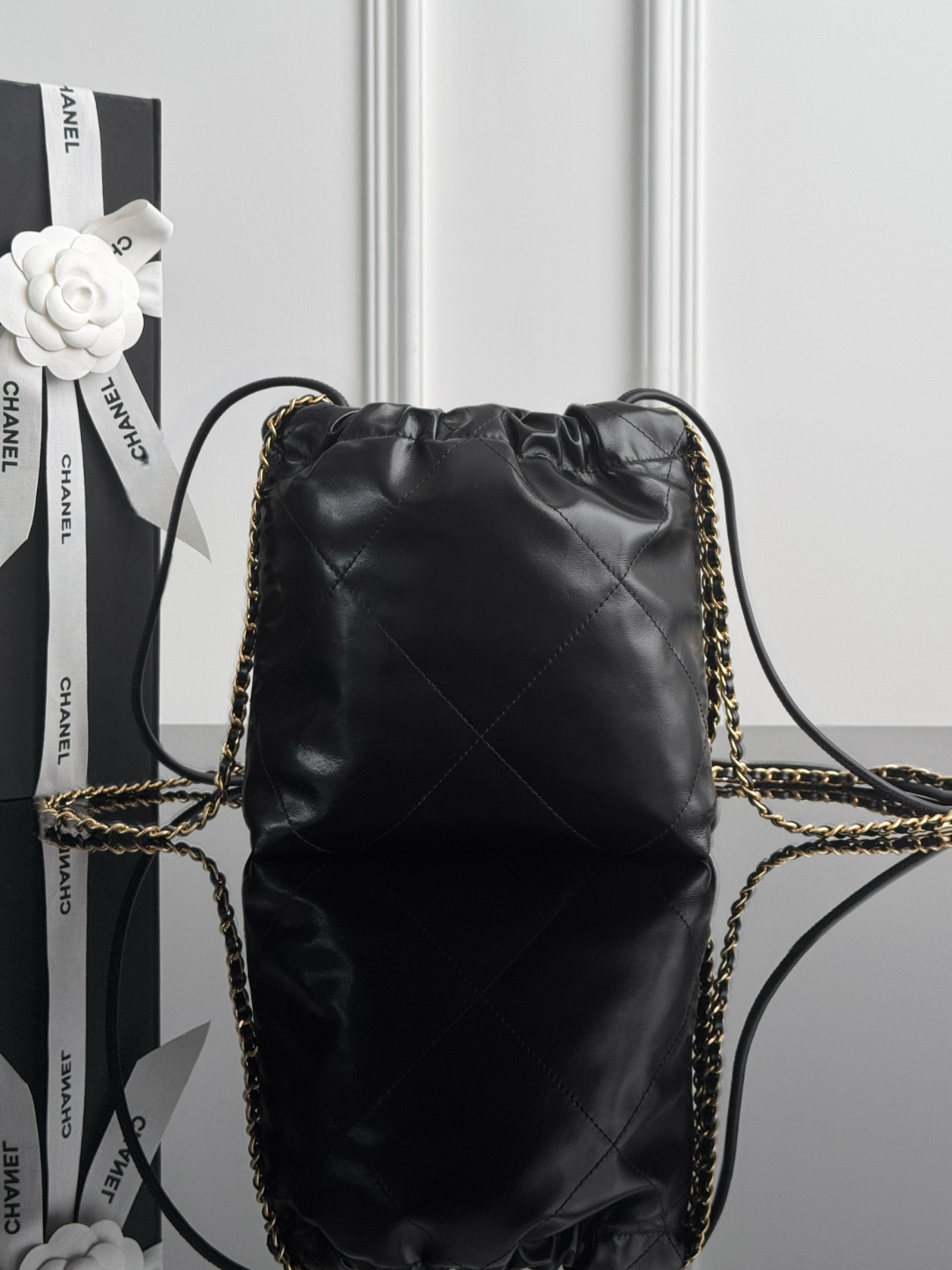 Chan mini 22bag